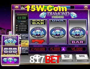 Security Systems 817Bet